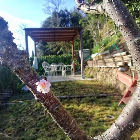 サン・ジミニャーノCasa Lauraアパートメント エクステリア 写真